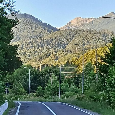 Pensiunea Dates Cîrţişoara Dış mekan fotoğraf