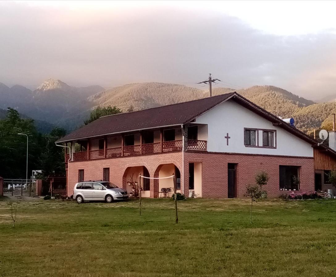 Pensiunea Dates Cîrţişoara Dış mekan fotoğraf