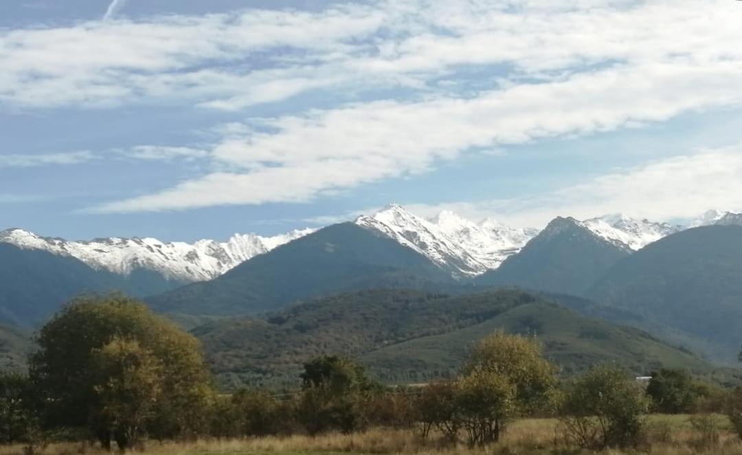 Pensiunea Dates Cîrţişoara Dış mekan fotoğraf