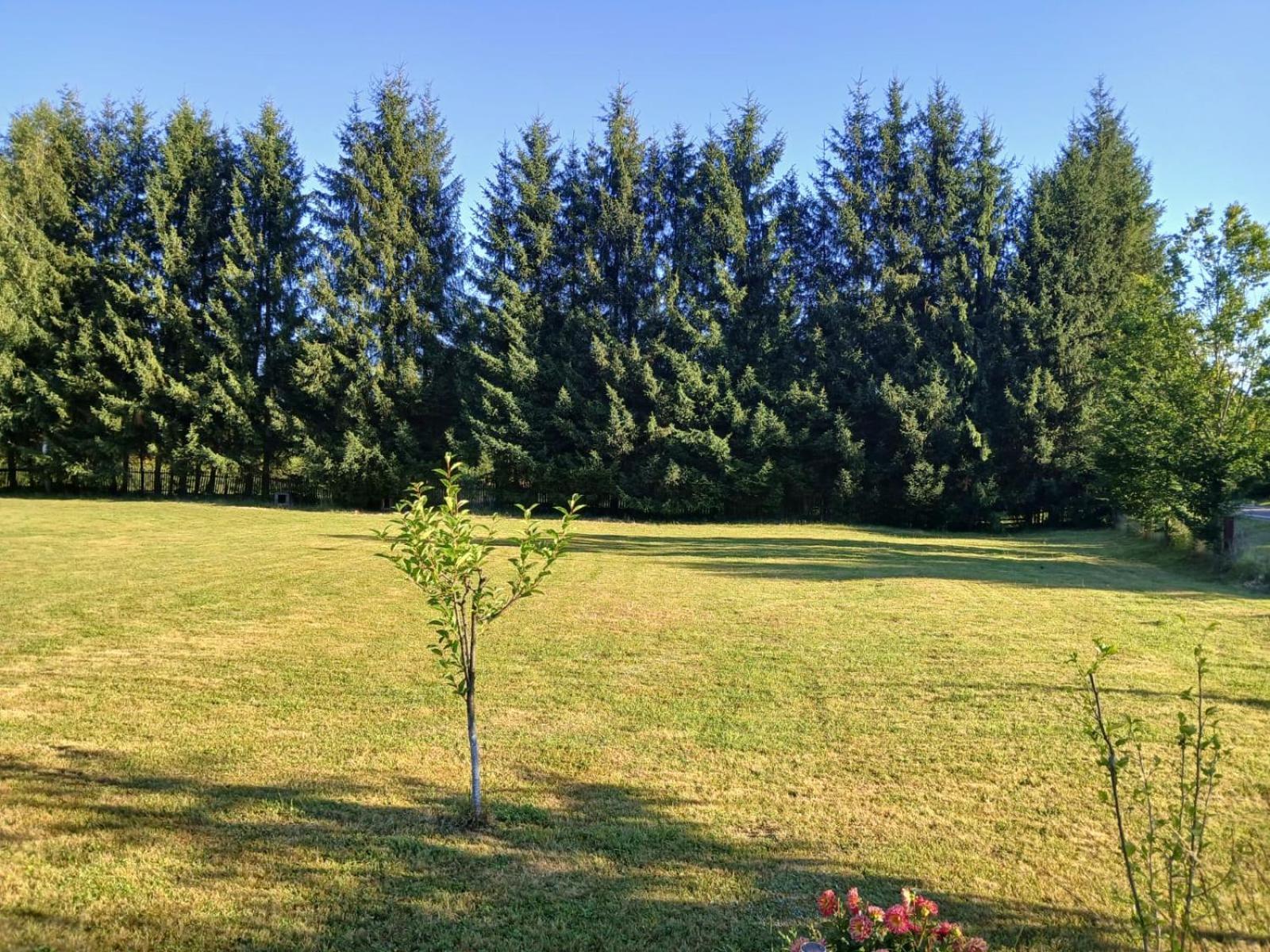 Pensiunea Dates Cîrţişoara Dış mekan fotoğraf